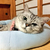 Profile picture small