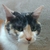 Profile picture small