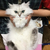Profile picture small