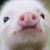Profile picture small