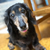 Profile picture small