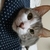 猫好き