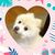 Profile picture small