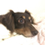 Profile picture small