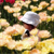 Profile picture small