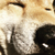 Profile picture small