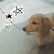 Profile picture small