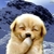 Profile picture small