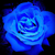 Profile picture small