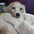 Profile picture small