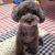 Profile picture small