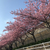 Profile picture small