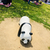 Profile picture small