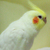 Profile picture small