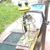 Profile picture small