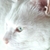 Profile picture small