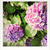 Profile picture small