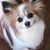 Profile picture small