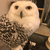 Profile picture small