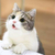 もっちゃん