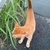 Profile picture small