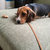 Profile picture small