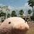 Profile picture small