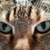 Profile picture small