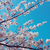 Profile picture small