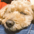 Profile picture small