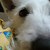 Profile picture small
