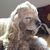 Profile picture small