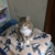 Profile picture small