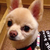 Profile picture small