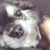 Profile picture small