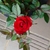Profile picture small
