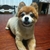 Profile picture small
