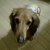 Profile picture small