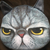 Profile picture small