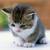Profile picture small