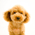 Profile picture small
