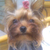 Profile picture small