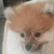 Profile picture small