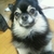 Profile picture small