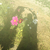 Profile picture small
