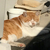 Profile picture small