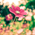 Profile picture small