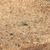 Profile picture small