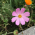 Profile picture small