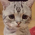 Profile picture small